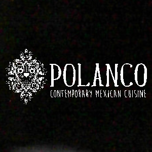 Polanco logo